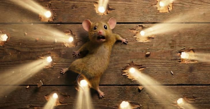 Markedstilskudd til familiefilmer, en oppfølger og en katastrofefilm.