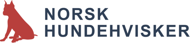 Hverdagslydighet - rolig hund