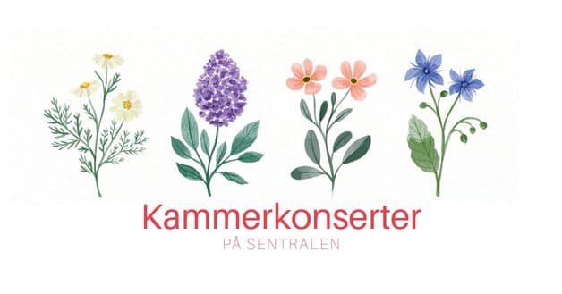 Lunsjkonsert i Vinterhagen: Jørgen Mathisen Ensemble