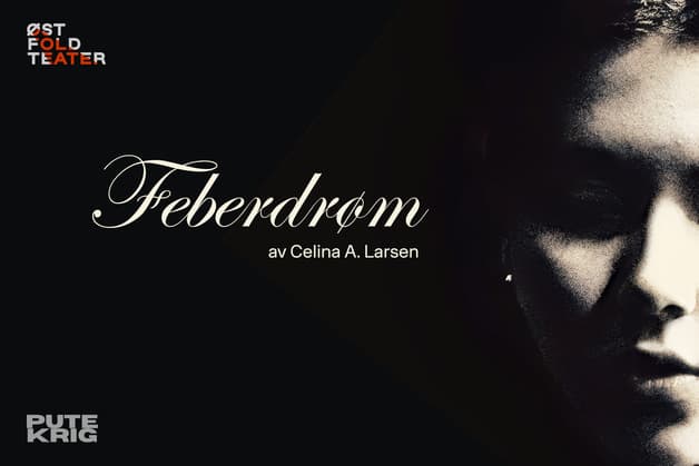 Feberdrøm
