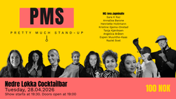 PMS - Pretty Much Stand-Up