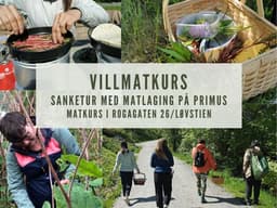 Matkurs: Villmatkurs med sanking og primus