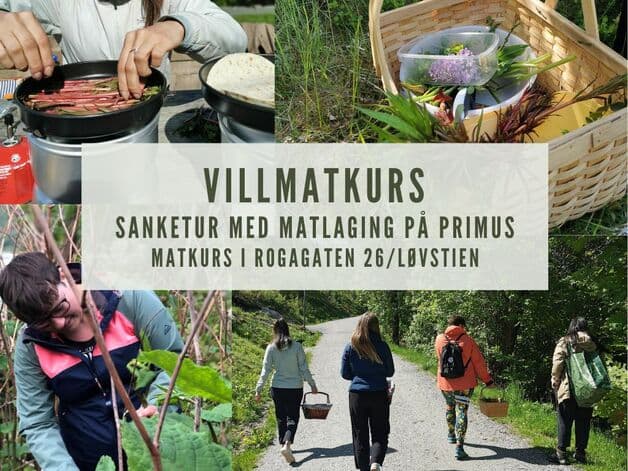 Matkurs: Villmatkurs med sanking og primus