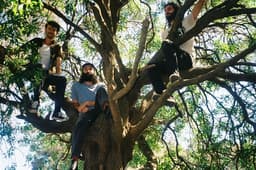 O.R.B (aus) // Revolver Backyard