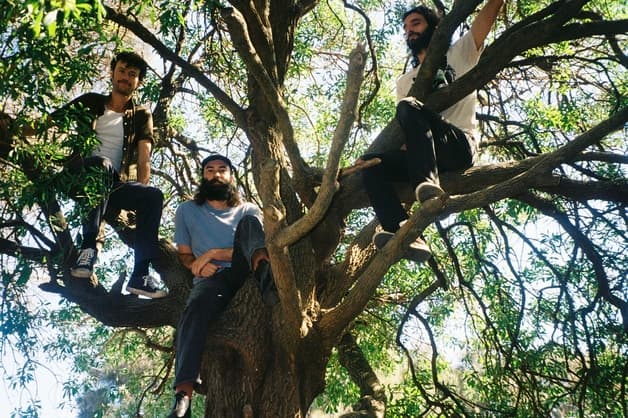 O.R.B (aus) // Revolver Backyard