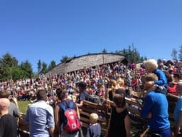 Vikingfestivalen Avaldsnes 2026/Viking festival Avaldsnes 2026