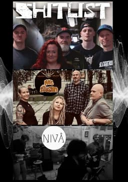 Shitlist / Pure Illusion / Nivå - Mir