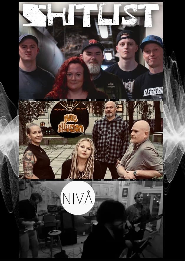 Shitlist / Pure Illusion / Nivå - Mir