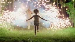Beasts of the Southern Wild (2012)