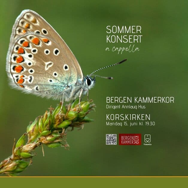 Sommerkonsert - a cappella, med Bergen Kammerkor