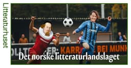 Det norske litteraturlandslaget