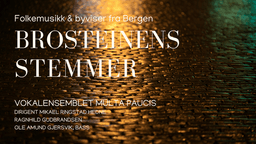 Brosteinens stemmer - Folkemusikk og byviser fra Bergen