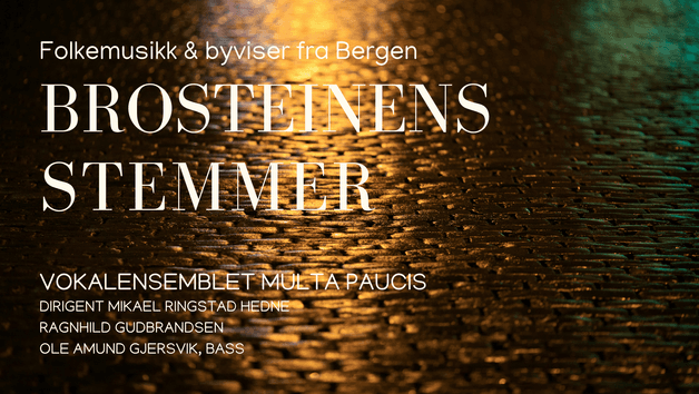 Brosteinens stemmer - Folkemusikk og byviser fra Bergen