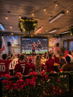 VIP-BORD 16-DELSFINALE NORGE